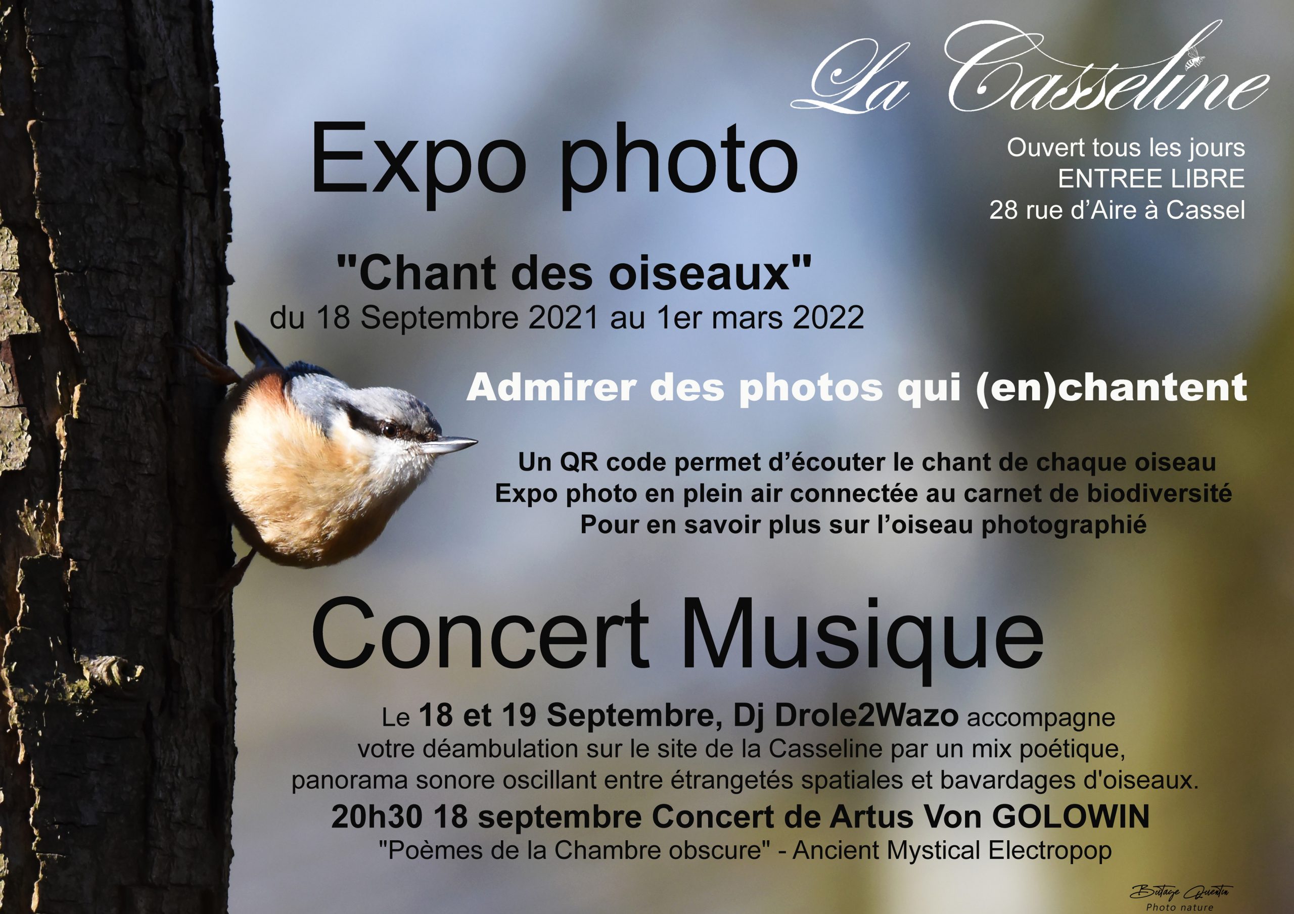 expo photo et concert « chant des oiseaux »
