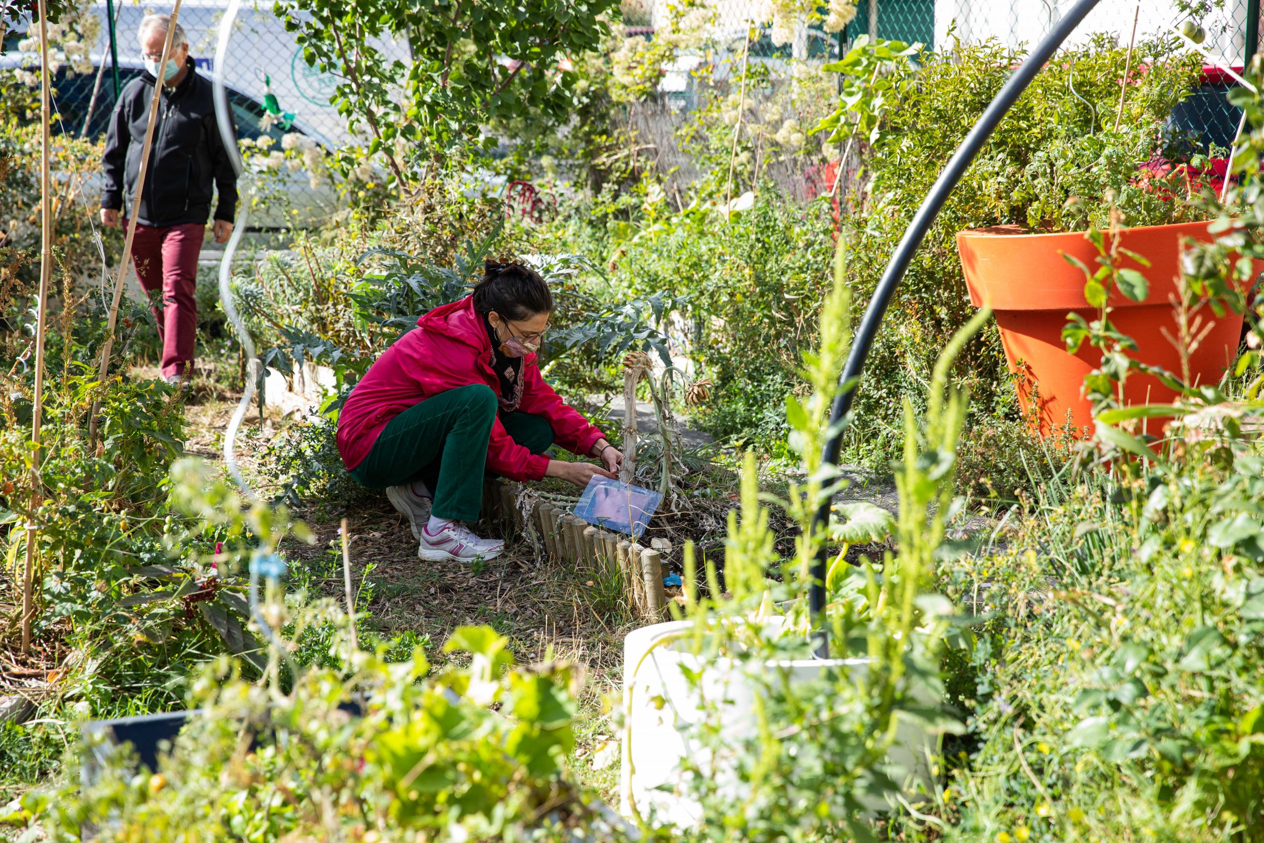 Ateliers au jardin : biodiversité & compostage