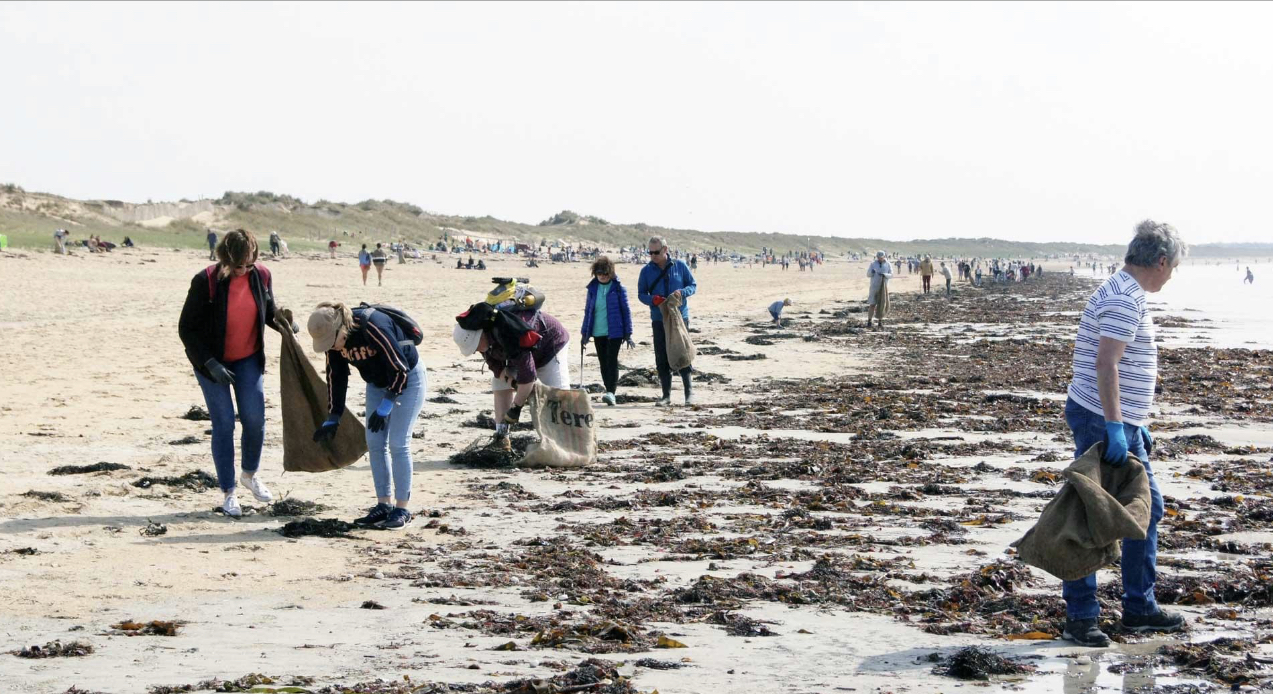 Nettoyage de plage à Plouharnel
