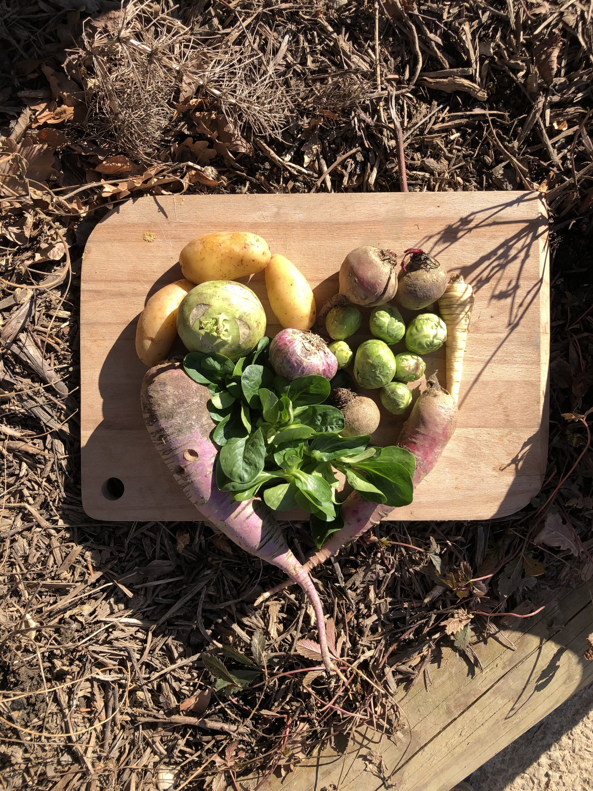 Portes Ouvertes des Nouveaux Jardins de la Solidarité