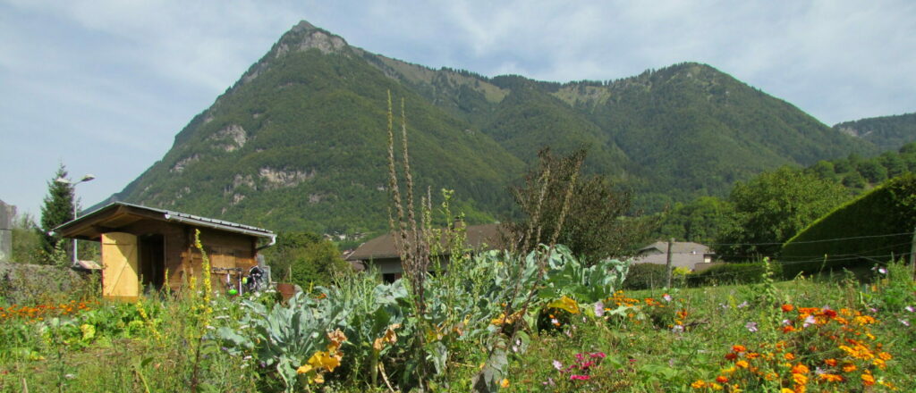 Porte ouverte jardin partagé et atelier semis