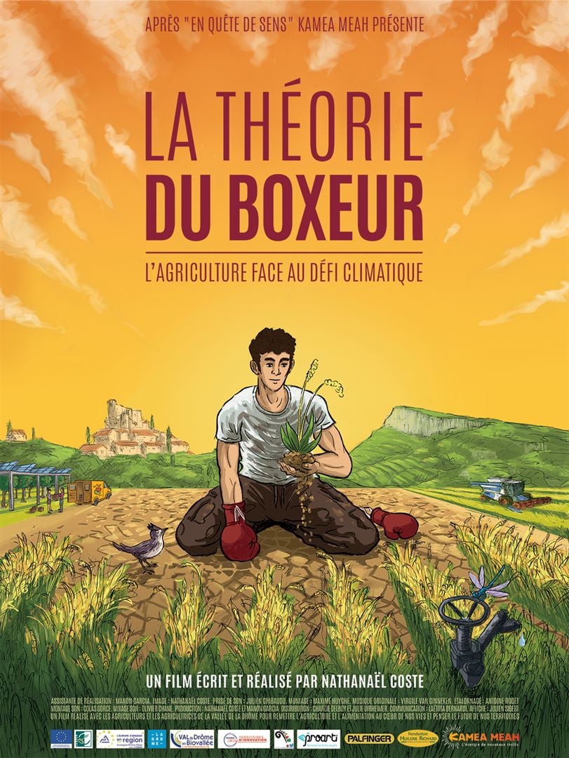 Film discussion LA THÉORIE DU BOXEUR